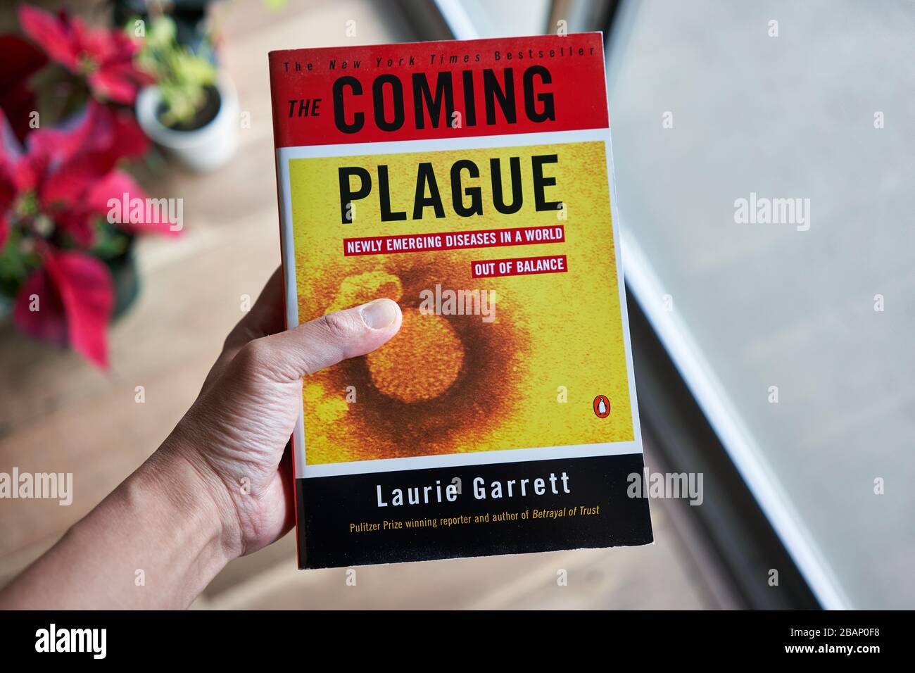 Hand holding the book 'The Coming Plague: Newly Emerging Diseases in a World Out of Balance' by Laurie Garrett, first published in 1994. Stock Photo