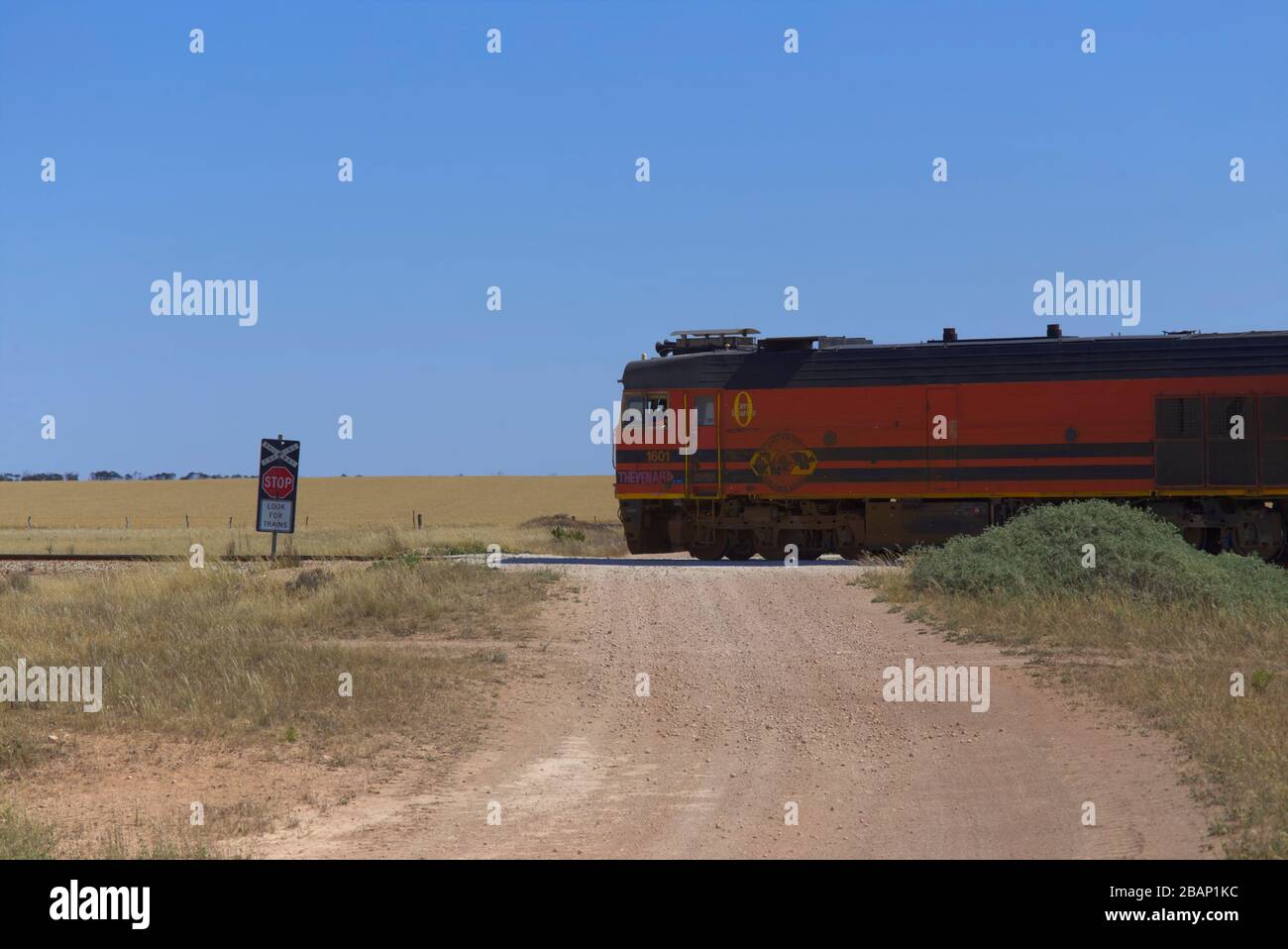 northbound train pete droge northbound train pete droge