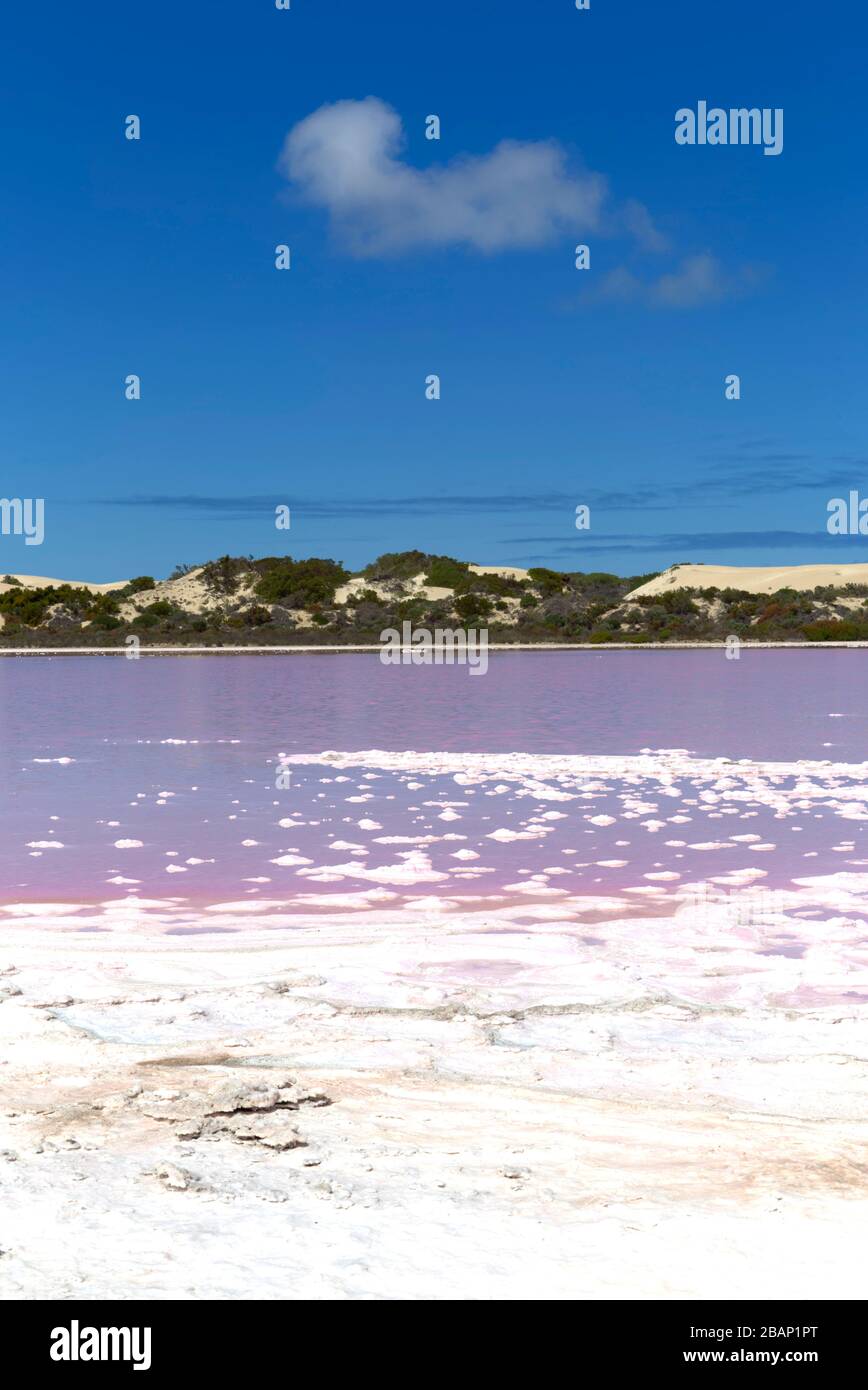 "The Pink Lake" which is a section of Lake MacDonnell near Penong South