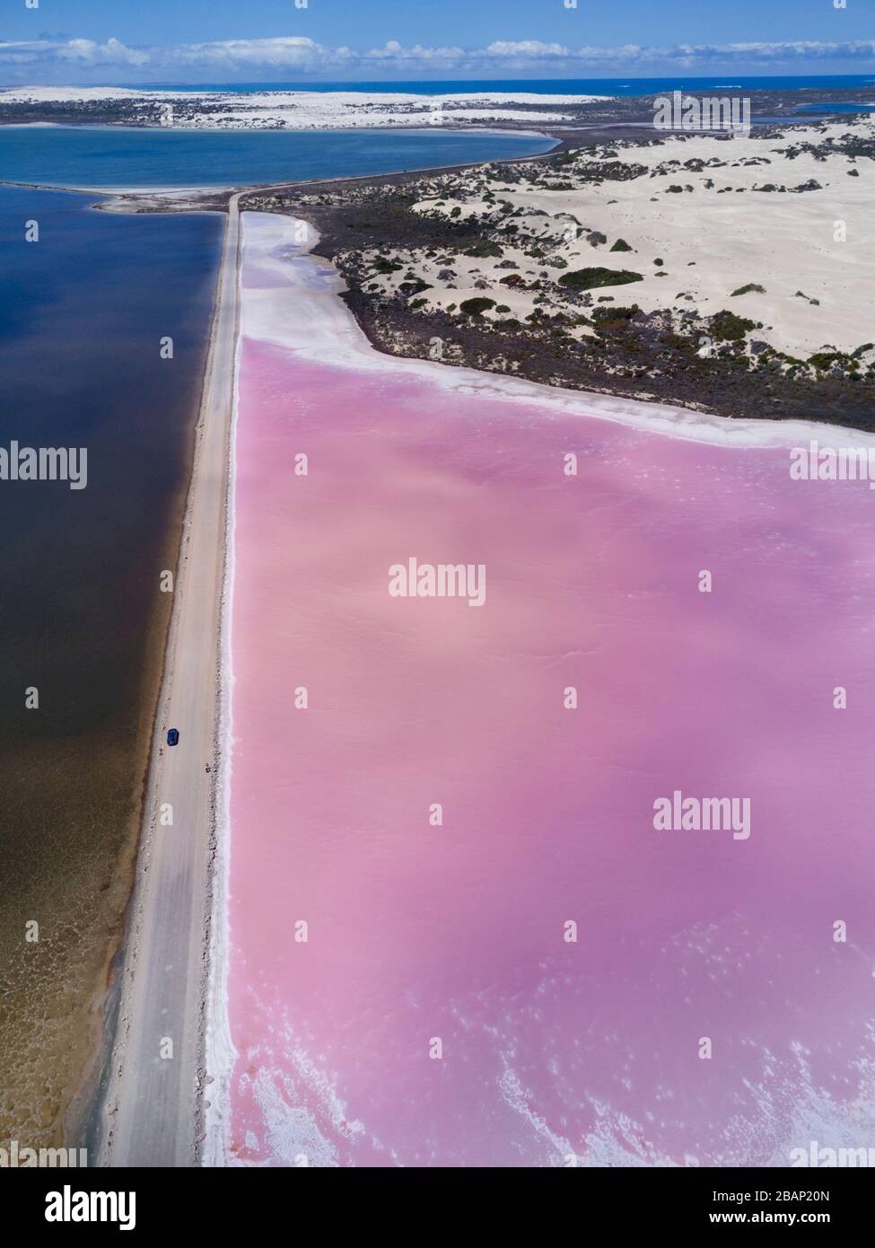 "The Pink Lake" which is a section of Lake MacDonnell near Penong South