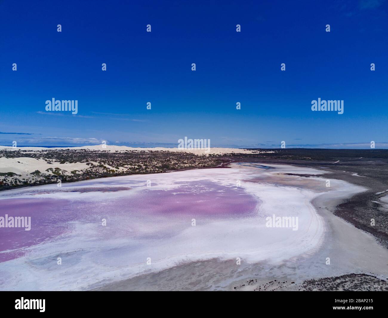 "The Pink Lake" which is a section of Lake MacDonnell near Penong South