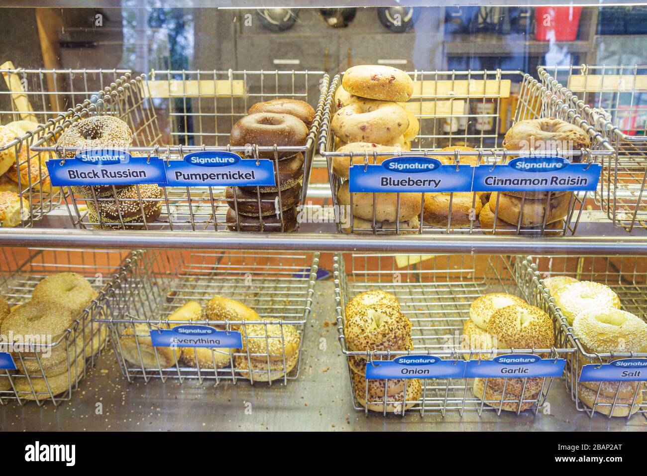 Miami Beach Florida,Einstein Brothers Bros. Bagels,line,queue,food