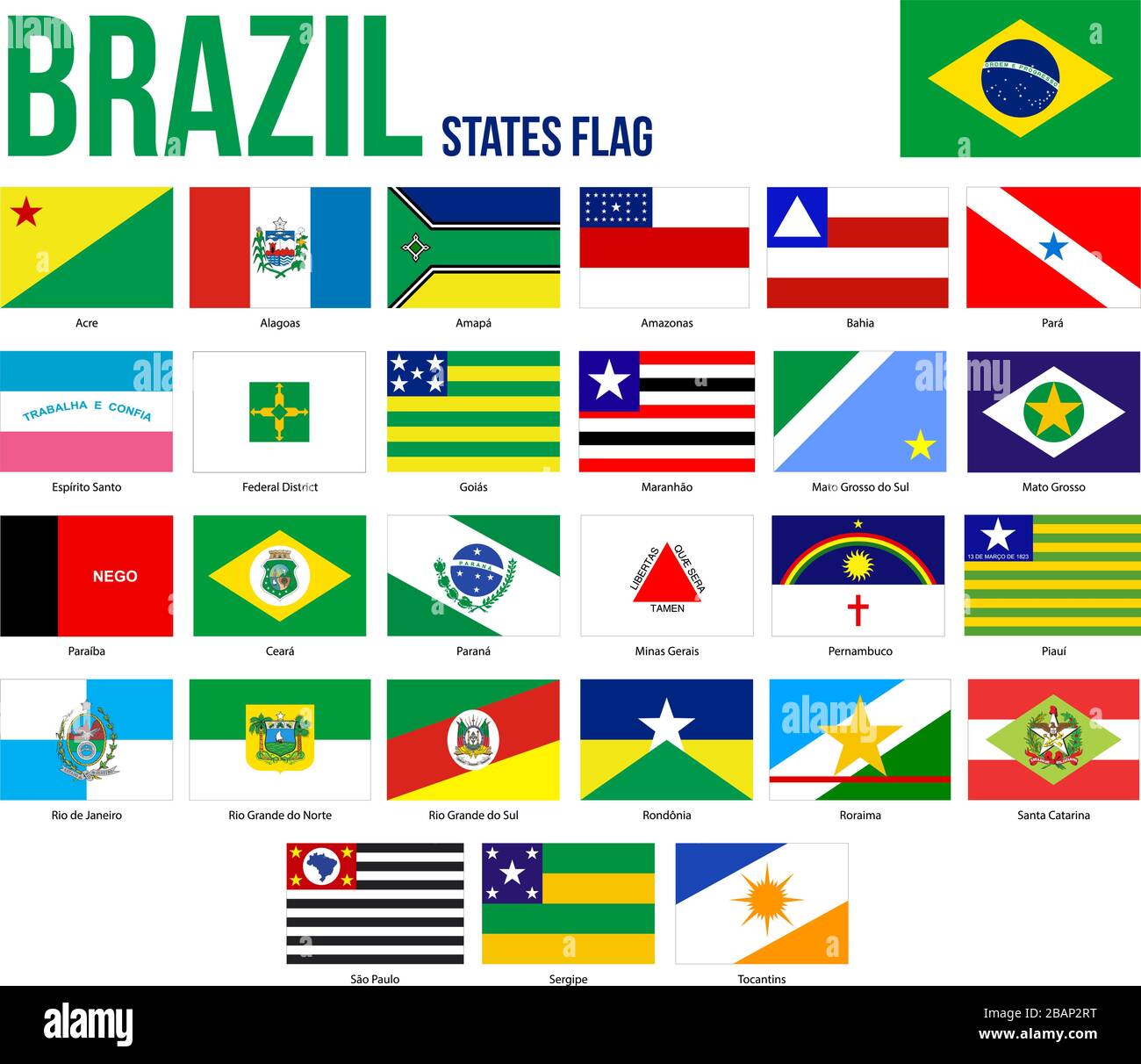 Brazil All States Flags Vector Illustration in Official Colors And Proportion. Brazil States Flag Collection. Stock Vector