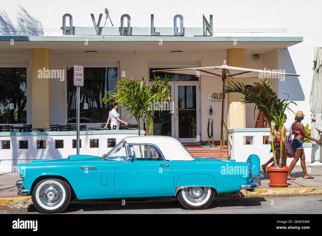Miami Beach Florida,Ocean Drive,Avalon,hotel hotels lodging inn motel motels,classic car cars,Ford Thunderbird,visitors travel traveling tour tourist Stock Photo