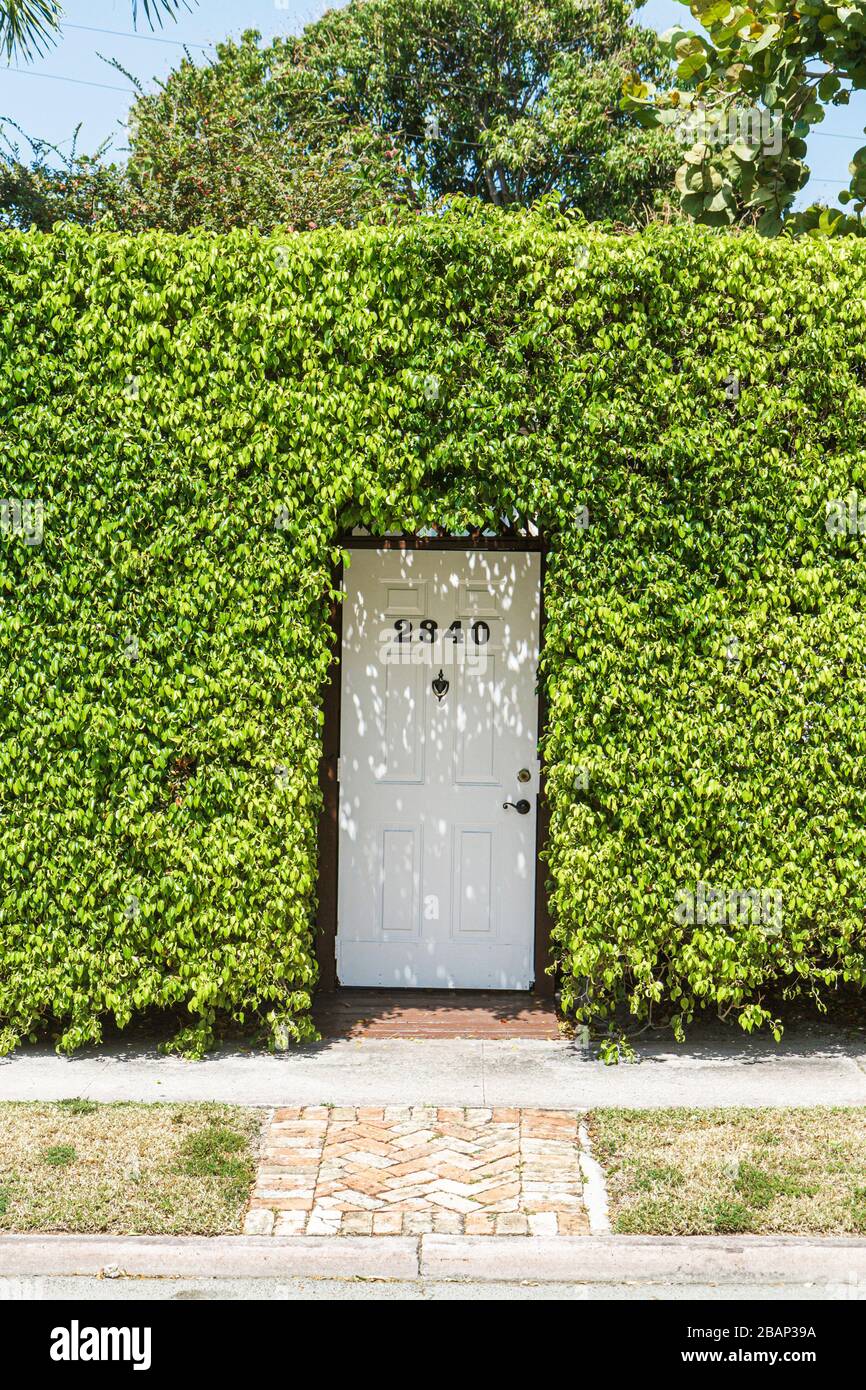 Miami Beach Florida,Flamingo Drive,door,hedge,entrance,private residence,house home houses homes residence,FL110331062 Stock Photo