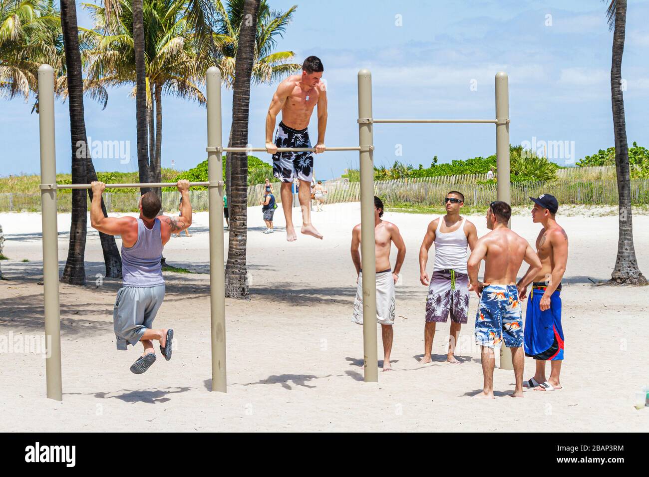 Miami Beach Florida,Lummus Park,exercise,workout,pull up bar,dips,muscles,strength,fitness,man men male adult adults,FL110429007 Stock Photo