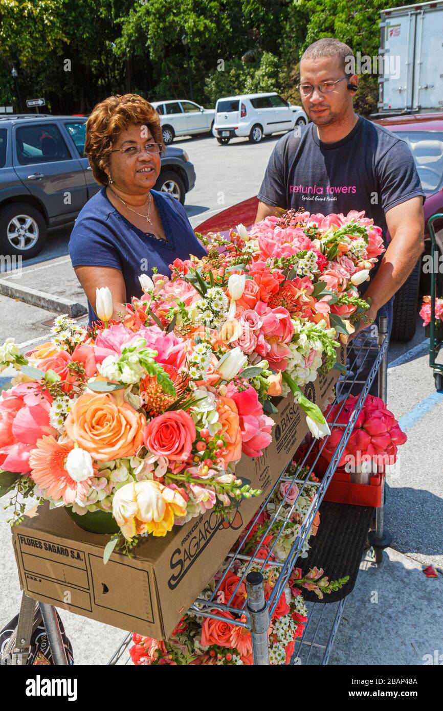 Fairchild tropical botanic garden in hires stock photography and