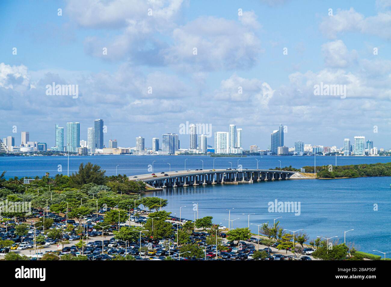 Miami Basketball Team All Time Legends, Miami City Skyline