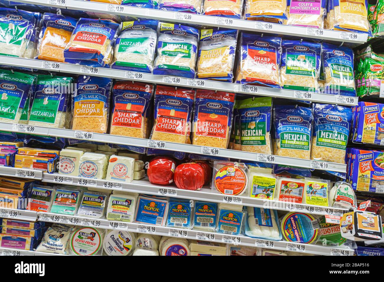 Miami Beach Florida,Publix,grocery store,supermarket,food,retail