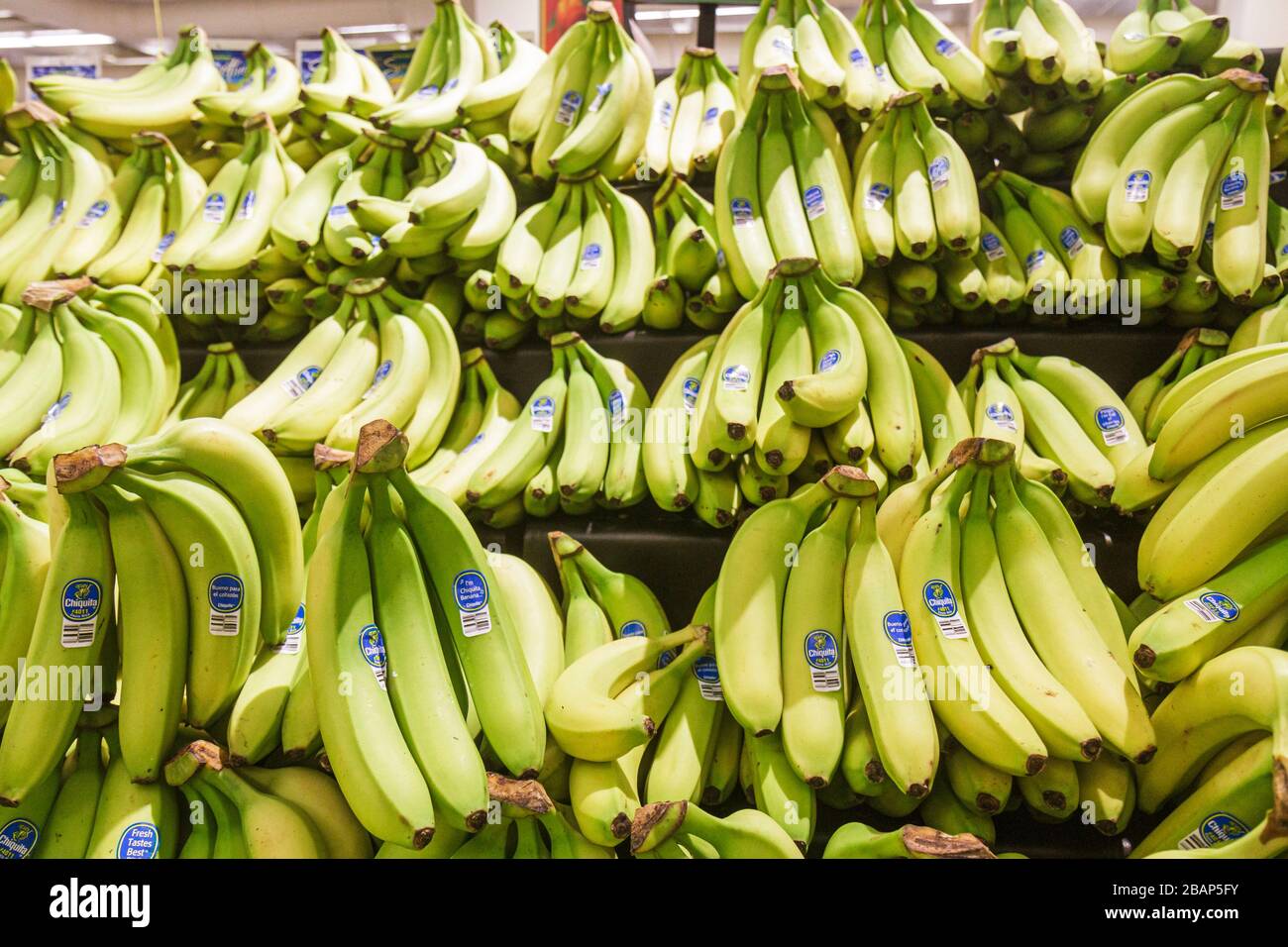Miami Beach Florida,Publix,grocery store,supermarket,food,display case sale,shopping shopper shoppers shop shops market markets marketplace buying sel Stock Photo