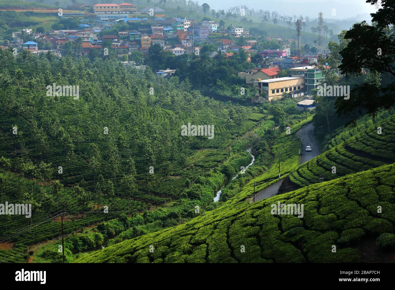 Tea plantation and urbanisation in India Stock Photo