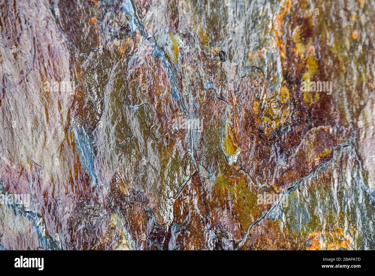 Stone texture in Georgia Stock Photo