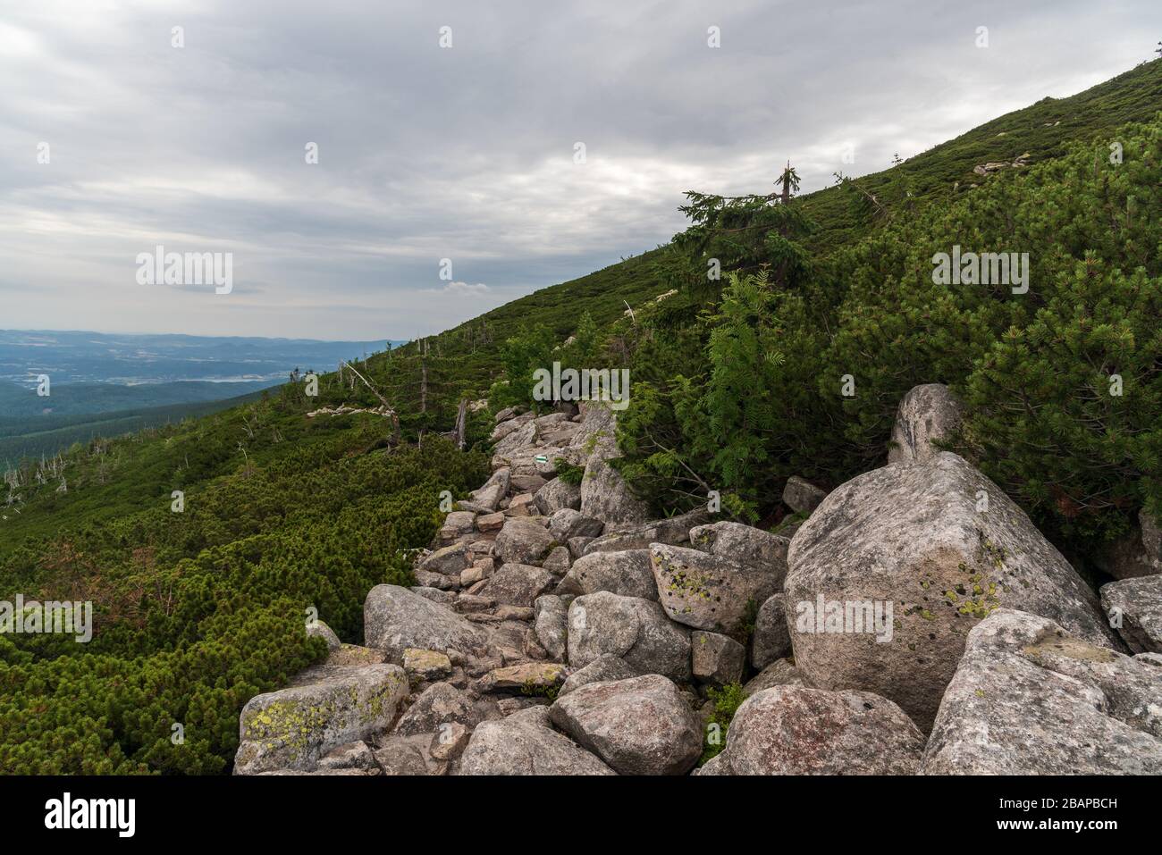 stone hiking trail with pinus mugo shrub around between Schronisko pod Labskym Szczytem and Sniezne Stawki in Karkonosze mountains in Poland Stock Photo