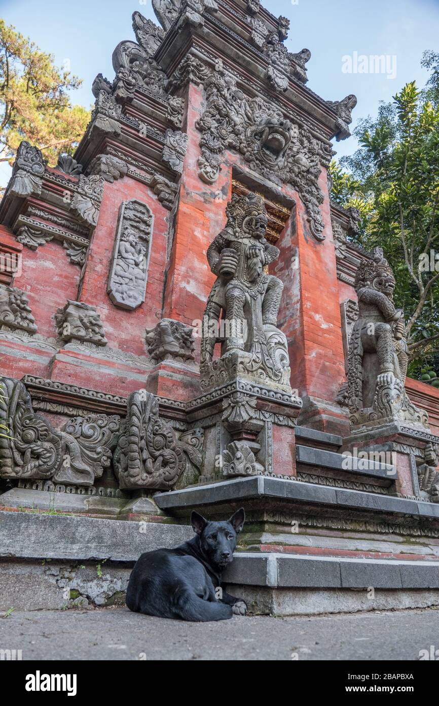 Stray black dog resting at steps of Tirta Empul Temple, Holy Water Temple, entrance with ornate stone carved Hindu gods and bright red brick work. Stock Photo