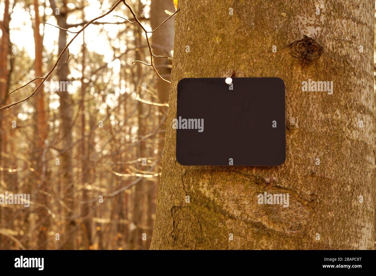 Blank memorial plaque hires stock photography and images Alamy
