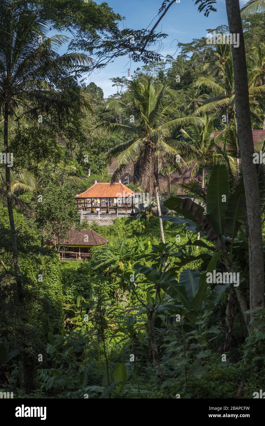 Landscape view of red tiled Balinese Hindu temple building through lush green jungle foliage on bright sunny day. Stock Photo