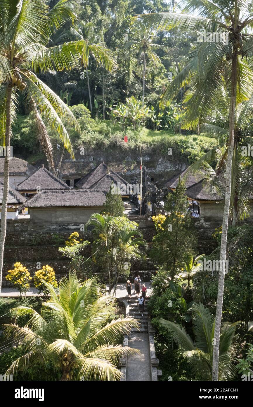Woman walking up steps of temple building on a bright, sunny morning with yellow and white banners. Stock Photo