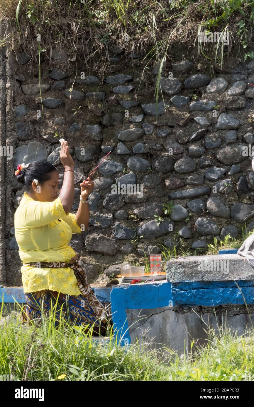 Balinese, Hindu woman dressed in bright yellow praying at a small stone temple in a rice field in early morning. Stock Photo