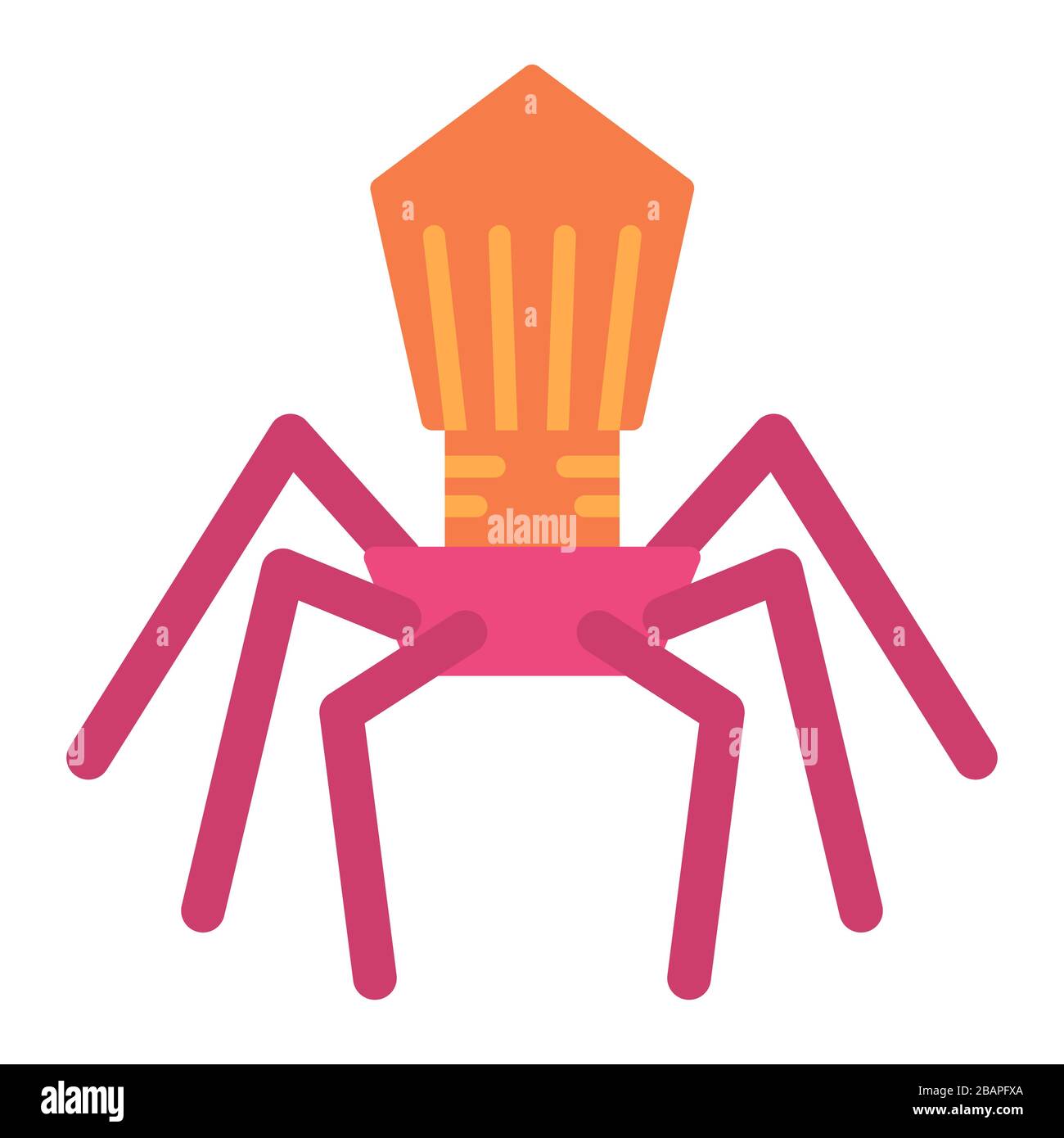 virus structure icon with modern flat style icon color or colorful ...