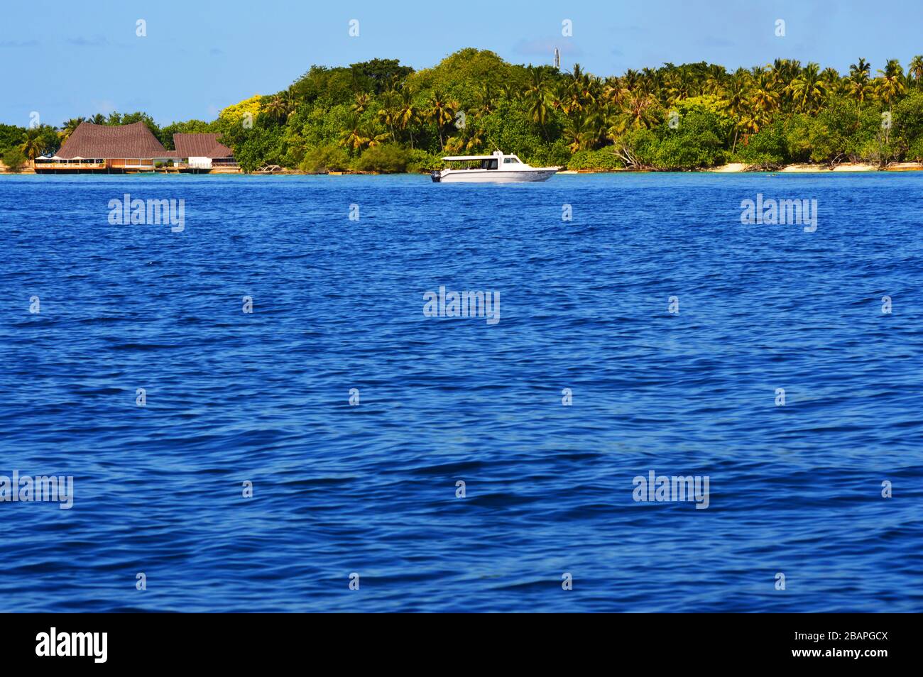 White speed boat passing green island Stock Photo - Alamy