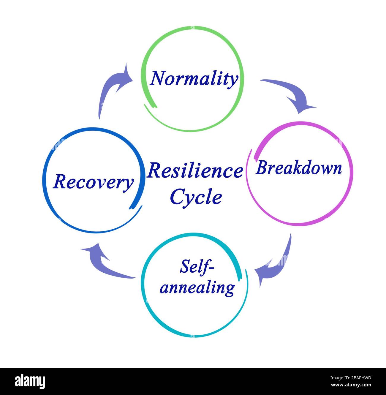 Four components of Resilience Cycle Stock Photo Alamy