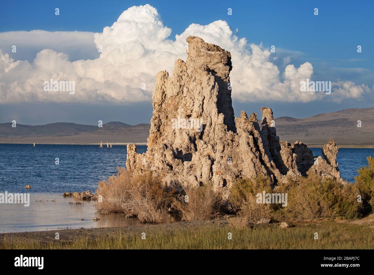 Tufa formation on shore of Mono Lake, Mono County, California, USA. Stock Photo