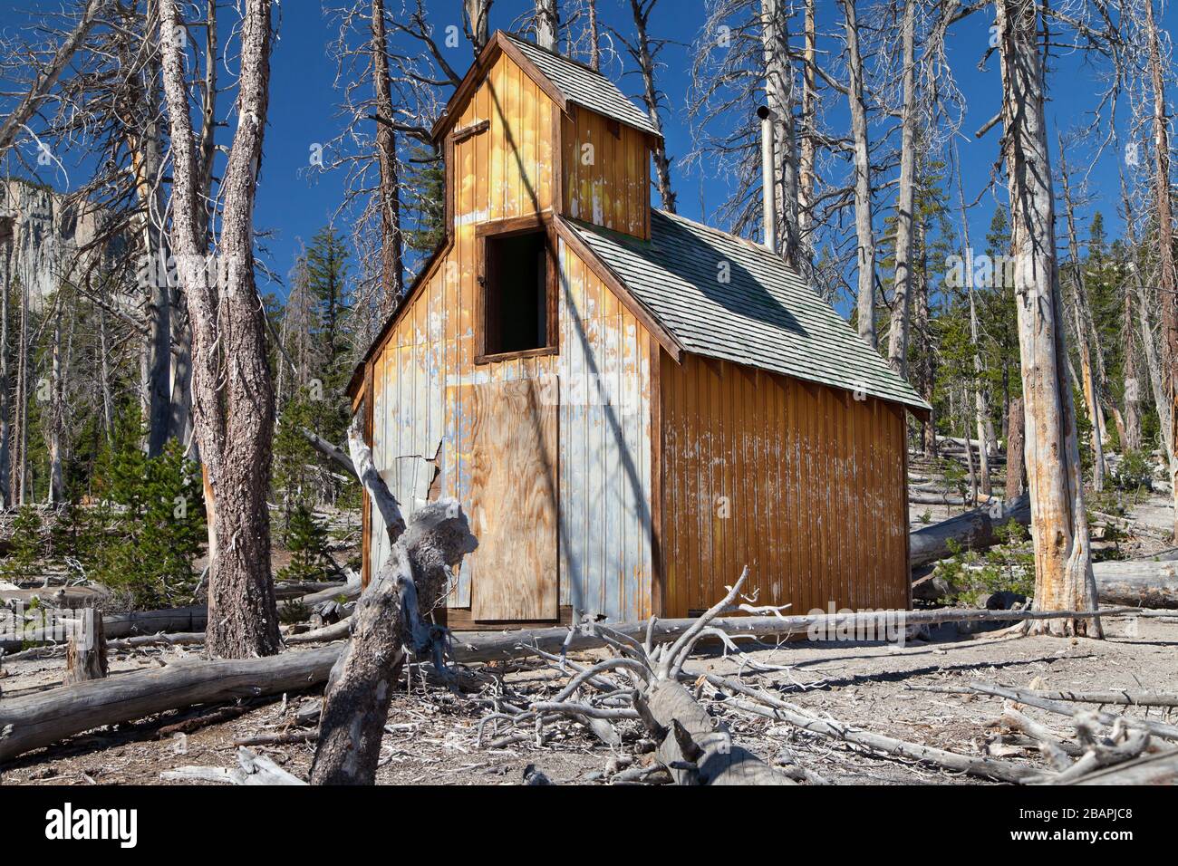 Abandoned shed surrounded by dead trees on the shore of Horseshoe Lake, Mammoth Lakes, California, USA. Stock Photo