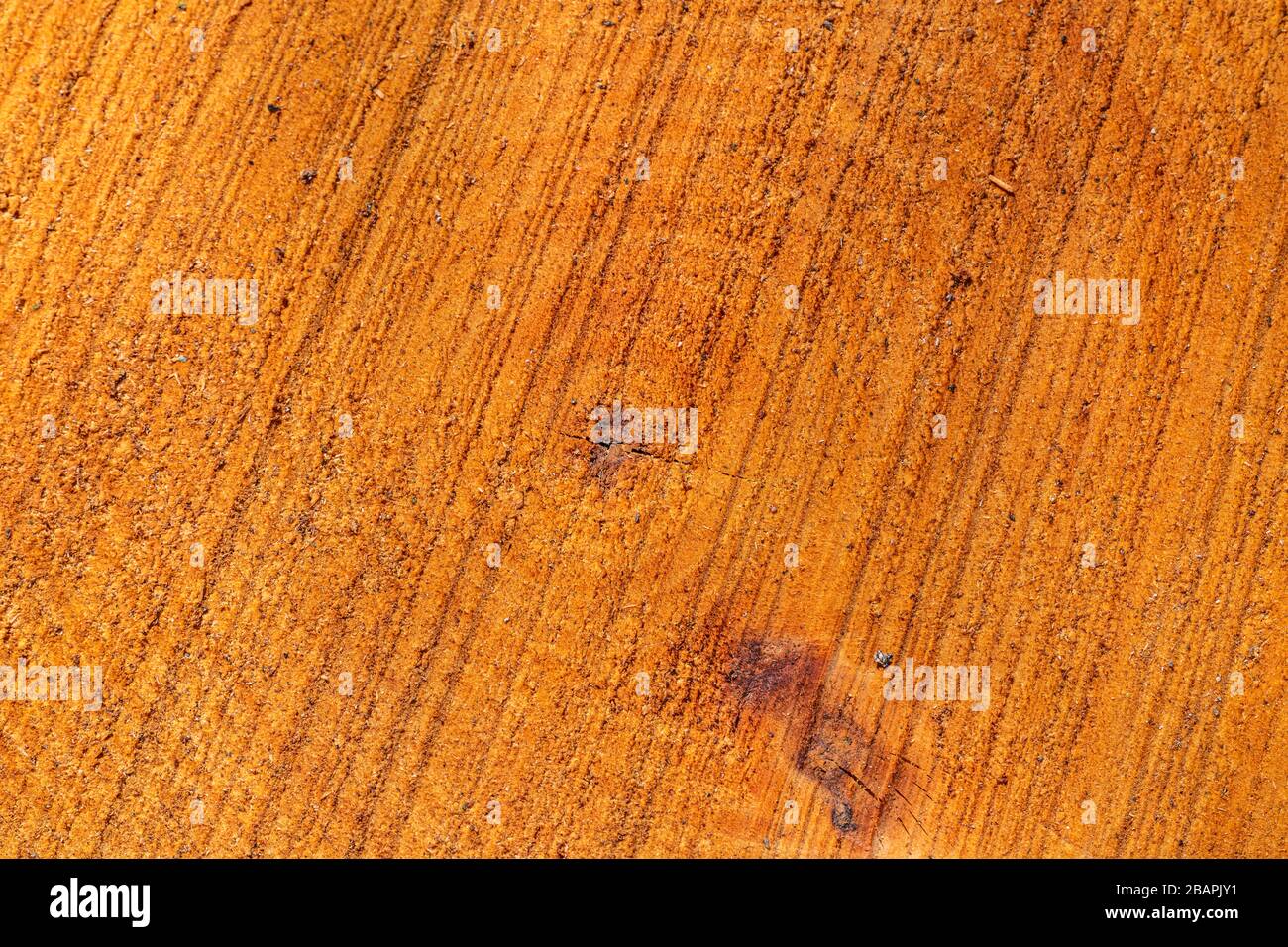 wood cut on red hard wood with annual rings, texture Stock Photo