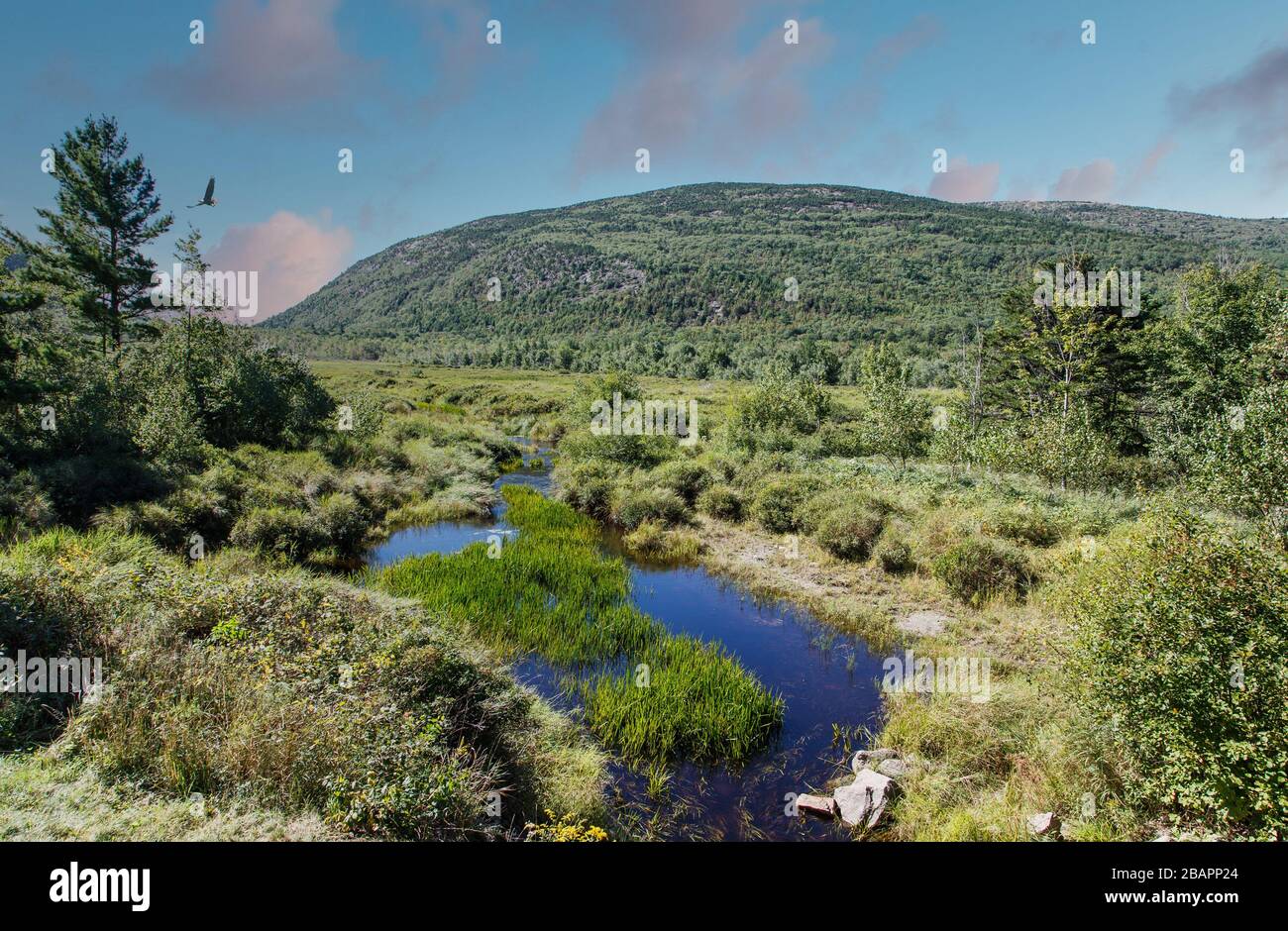 Beautiful maine hires stock photography and images Alamy