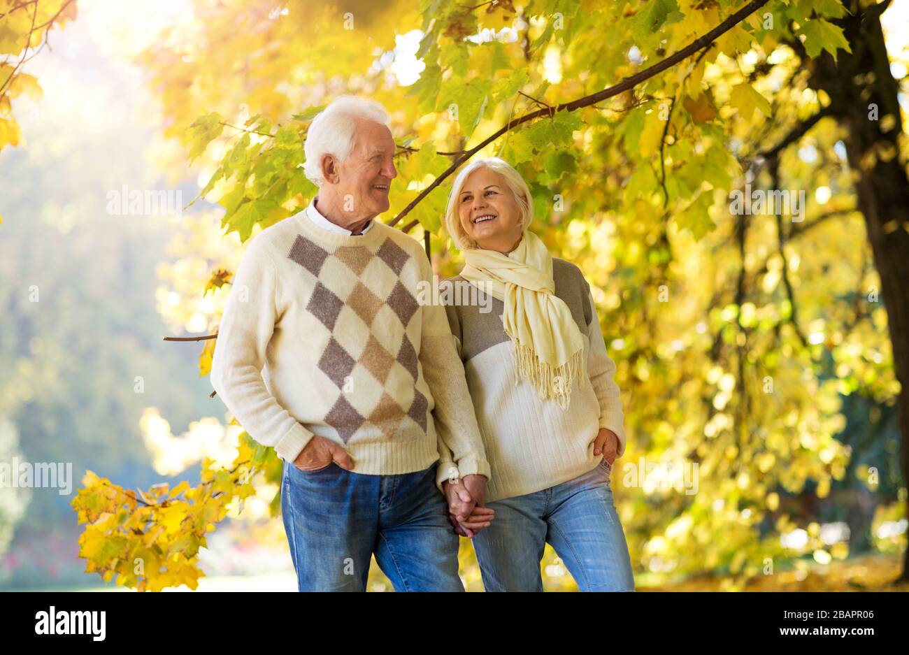 Happy senior couple in autumn park Stock Photo - Alamy
