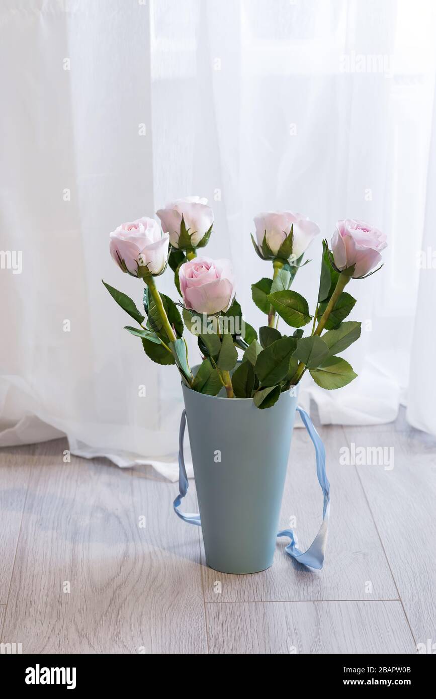 Beautiful bouquet of pink roses in a gift blue box on the floor near the window and curtains Stock Photo