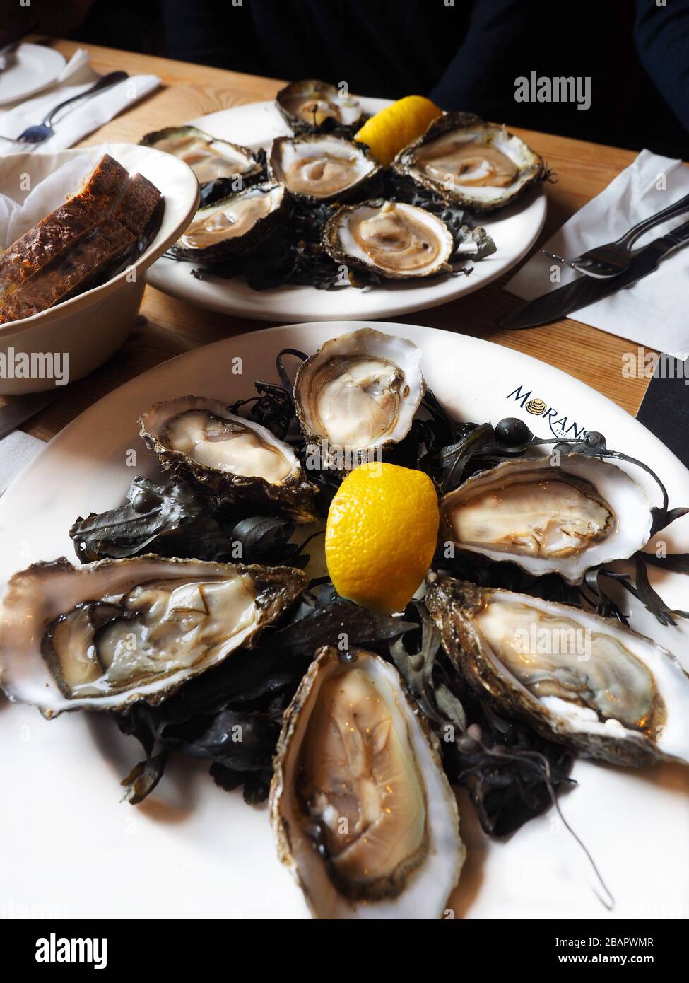 Oyster, Morans of the Weir, world famous oyster cottage, restaurant, Roymore, Kilcolgan, Galway, Republic of Ireland Stock Photo
