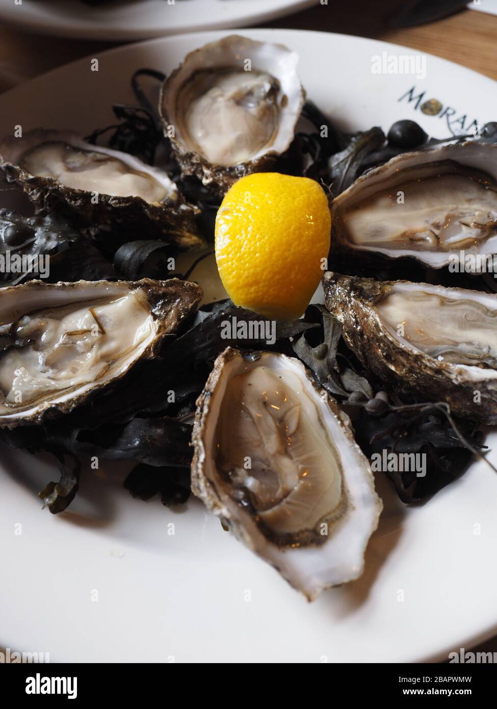 Oyster, Morans of the Weir, world famous oyster cottage, restaurant, Roymore, Kilcolgan, Galway, Republic of Ireland Stock Photo