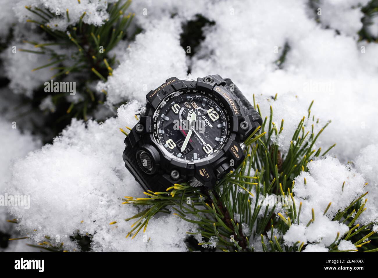 g shock stock