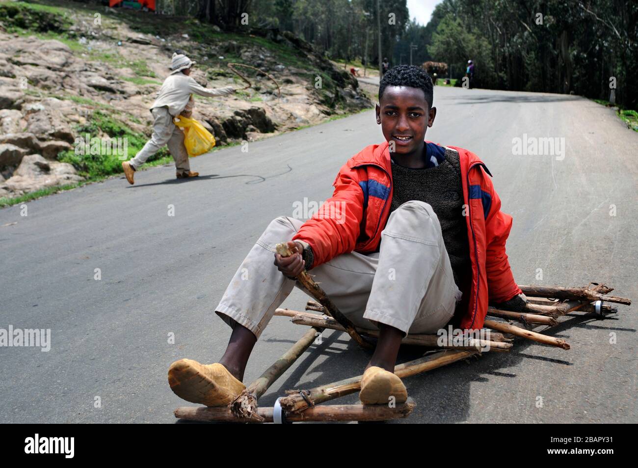 Mount Entoto Eucalyptus Forest above Addis Ababa, Ethiopia. The sacred forests of nothern Ethiopia.  Rudimentary wheelbarrows for transport Stock Photo