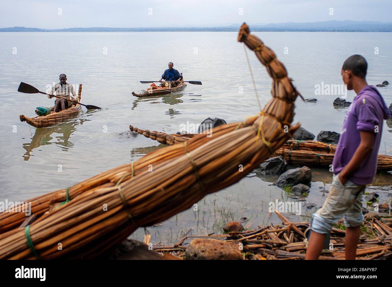 Traditional Tankwas (reed boats) on the banks of Lake Tana. A young fisherman with his canoe on Lake Tana in Bahir Dah in Ethiopia. Lake Tana is the s Stock Photo