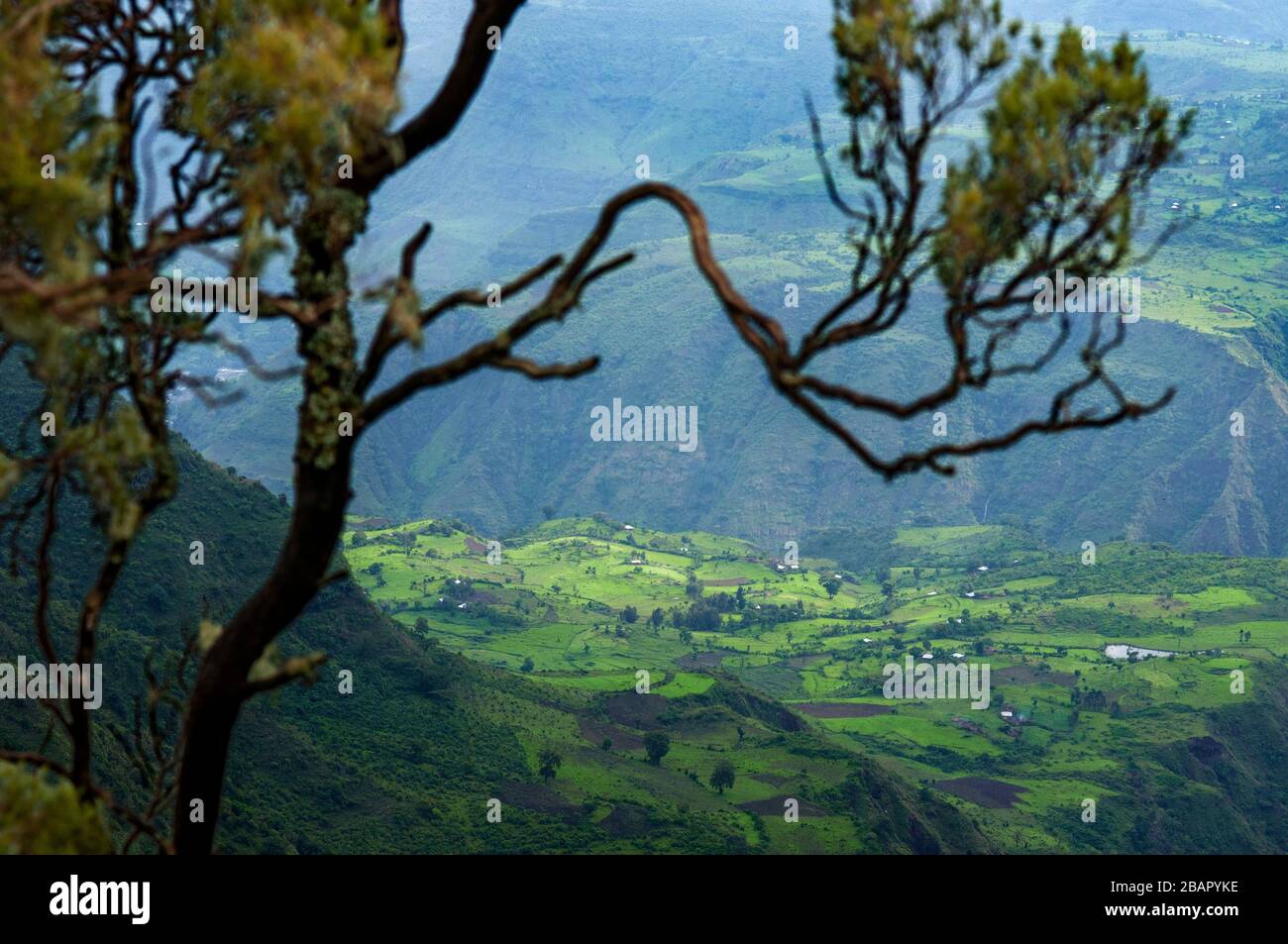 Overlooking a valley in the Simien Mountains National Park, Amhara Region, Ethiopia Stock Photo