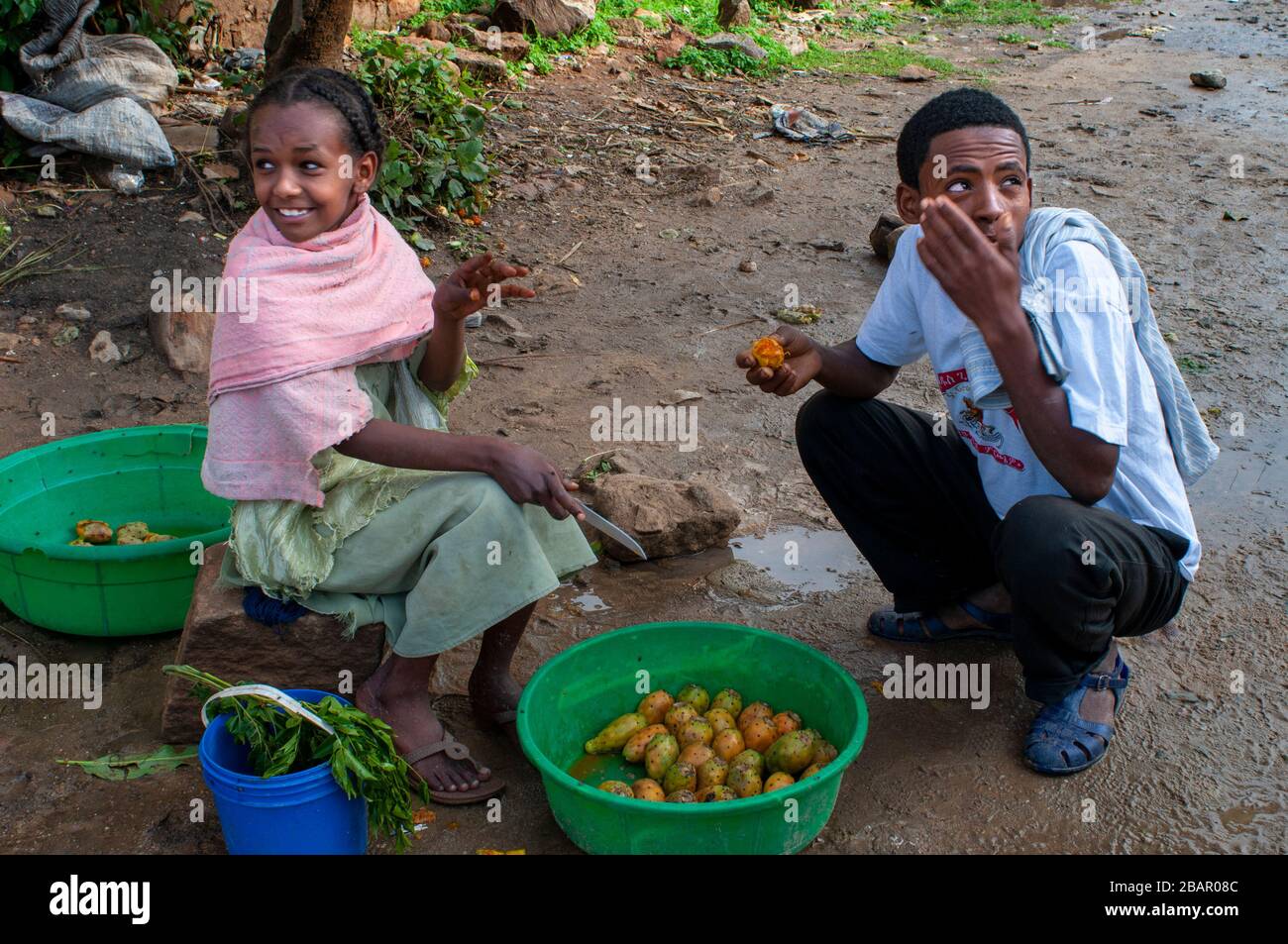 Eating prickly pears in Hawzen town, Eastern Tigray, Ethiopia. Celebration birth in the village of Hawzen, in the absence of the Gheralta mountains. T Stock Photo