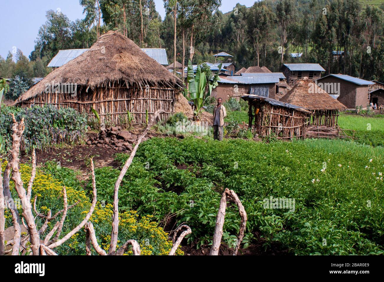Farmland and village houses in the mountain, Amhara Region, Ethiopia
