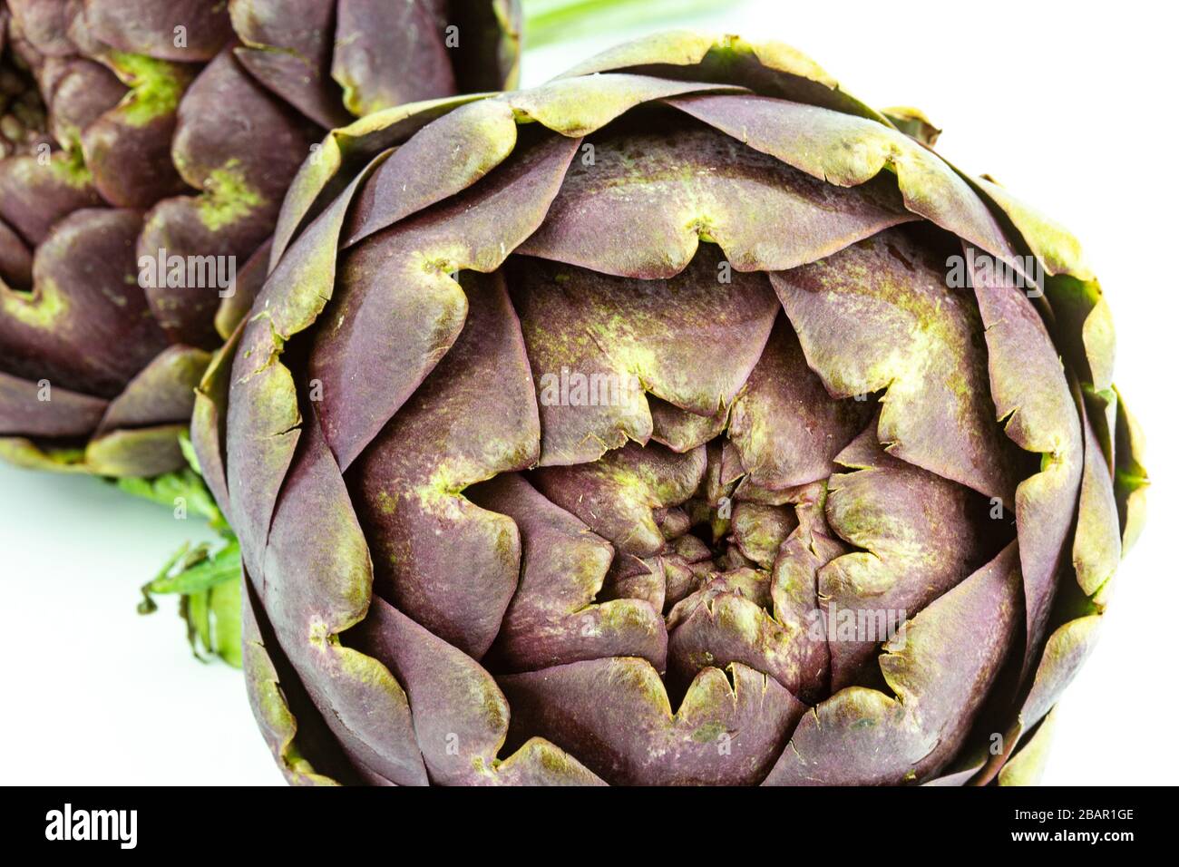 fresh globe artichokes on white copy space closeup Stock Photo