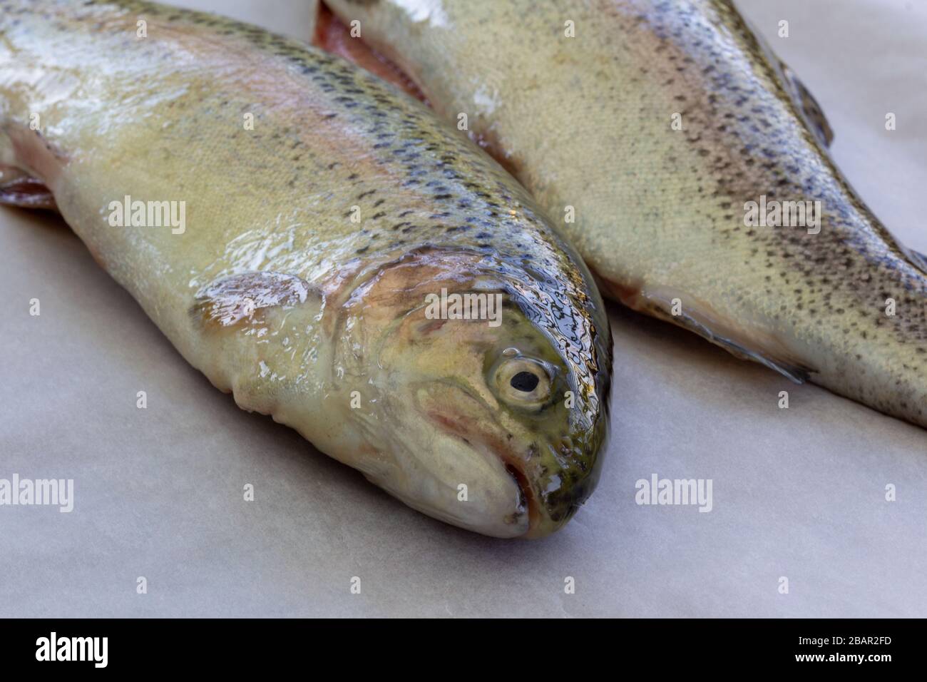 fresh rainbow trouts (Oncorhynchus mykiss) on a sheet of wrapping paper closeup Stock Photo
