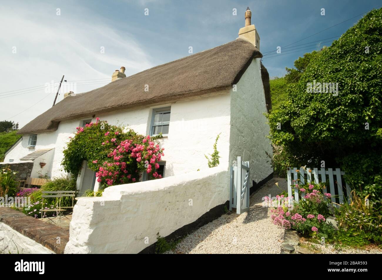 Traditional pretty thatched white cottage with pink roses over the front door in the small quaint fishing village of Cadgwith, Cornwall, England Stock Photo