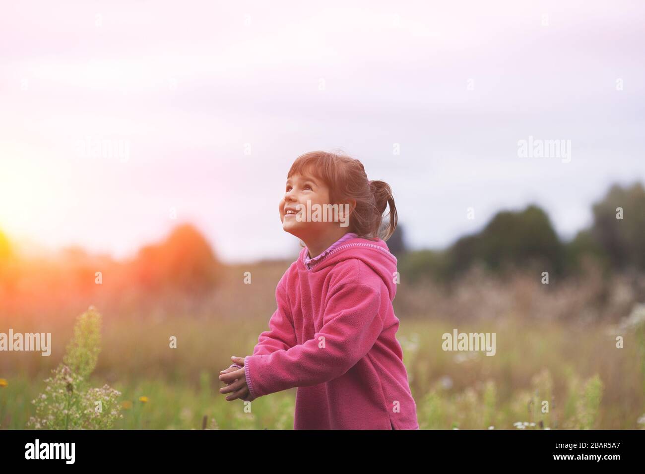 Happy little girl walks on the meadow on a sunny day Stock Photo - Alamy