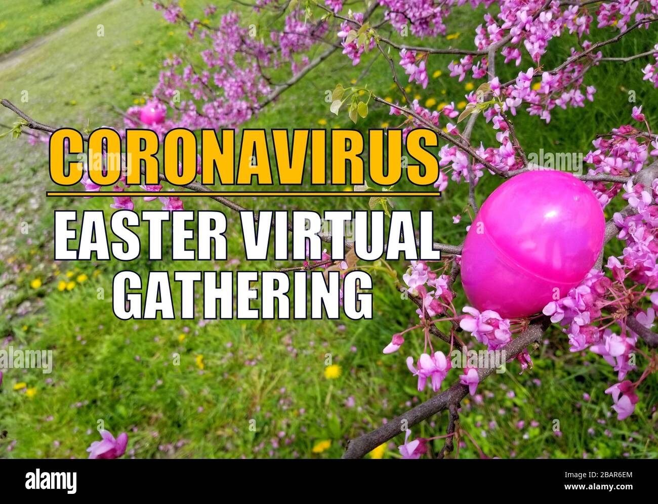 Easter Virtual Event Coronavirus Easter virtual gathering with background of pink plastic ...