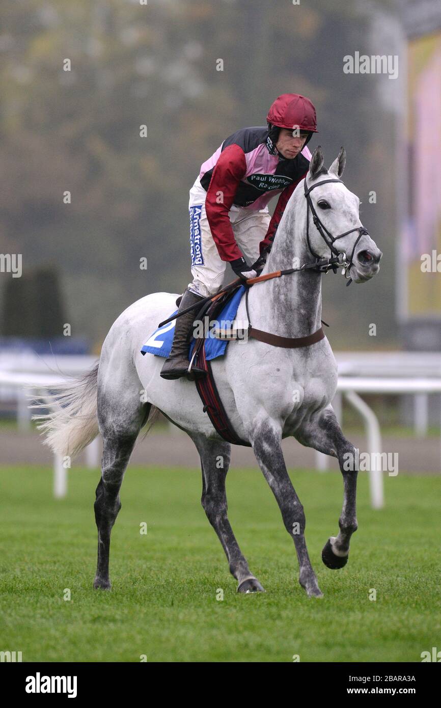 Australia Day ridden by Denis O'Regan going to post for the William Hill Hurdle Stock Photo