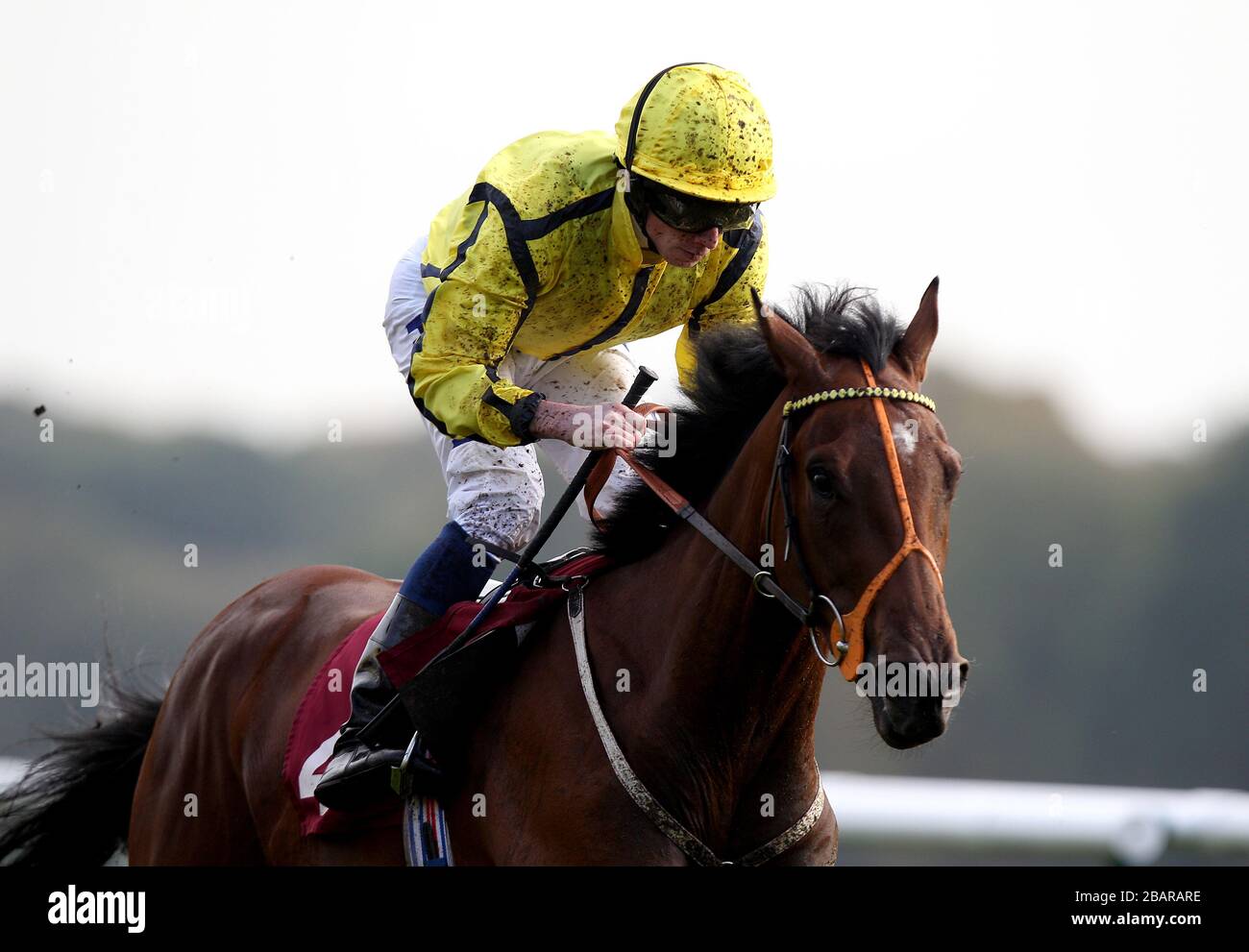 Rhombus ridden by Ryan Moore during The Betfair Chase 24th November maiden stakes Stock Photo