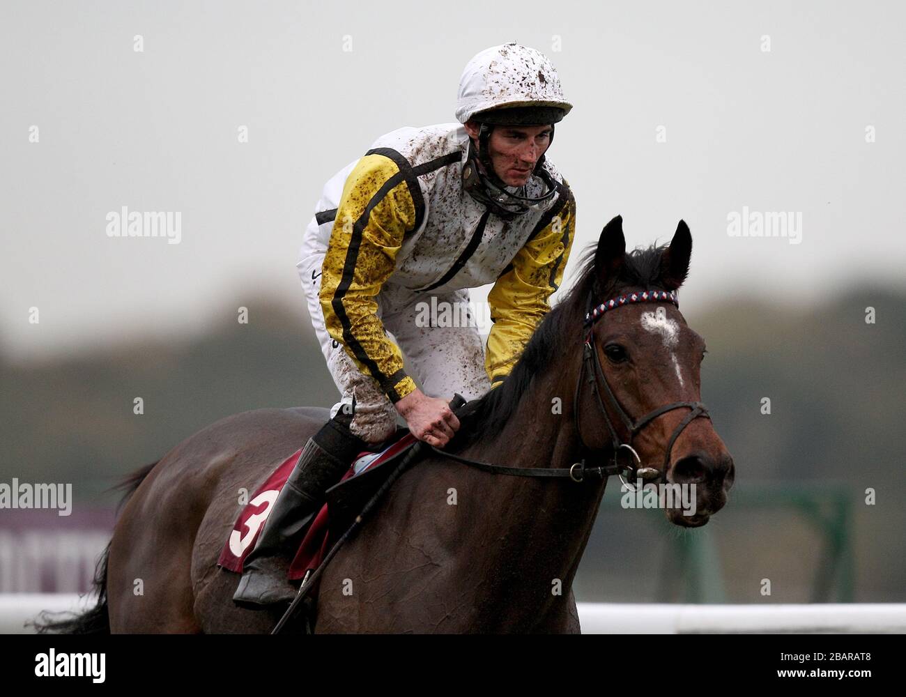 Secret Dancer ridden by Daniel Tudhope during The download the free racing UK iPhone app handicap stakes Stock Photo