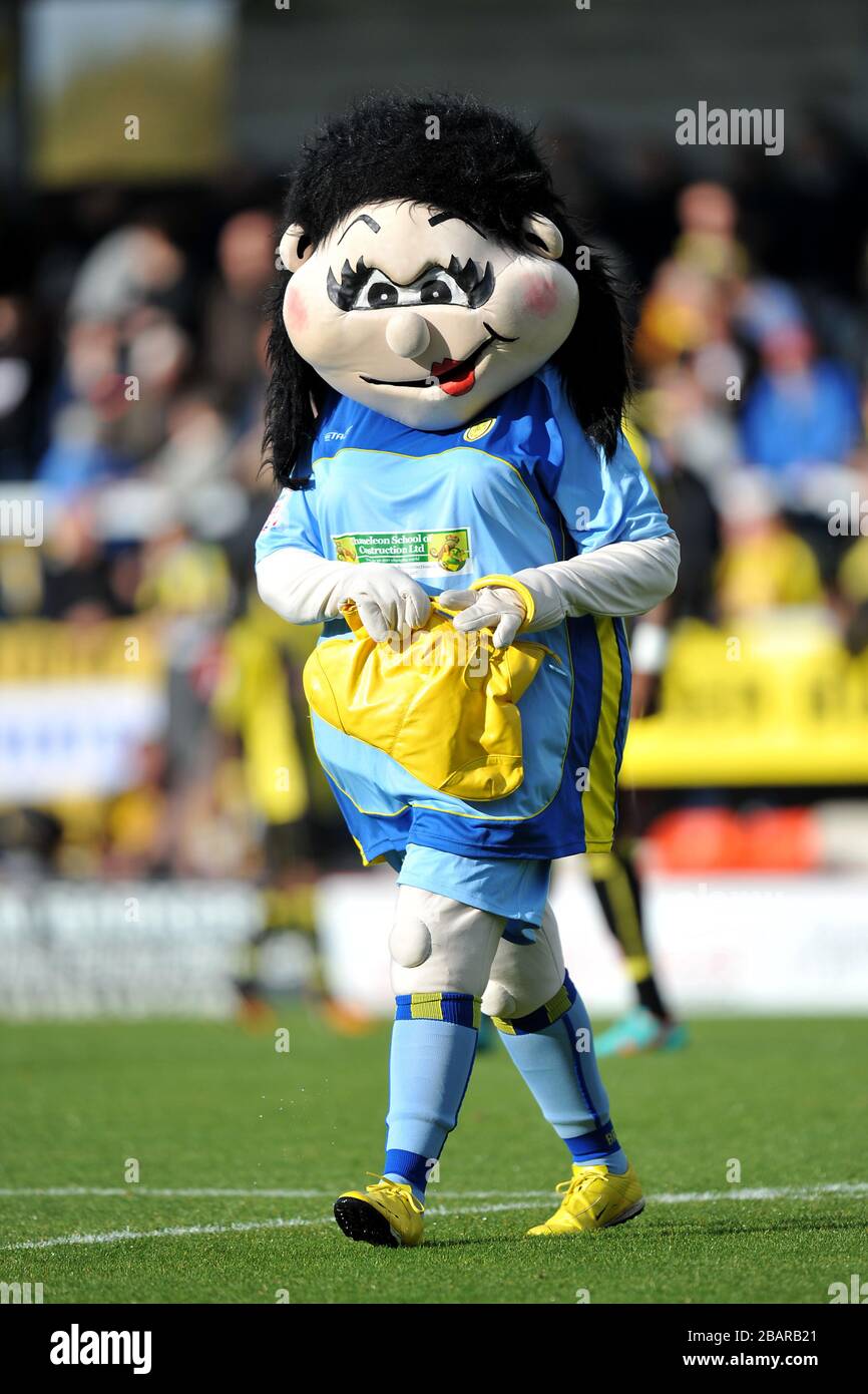 Burton Albion Mascot High Resolution Stock Photography And Images Alamy