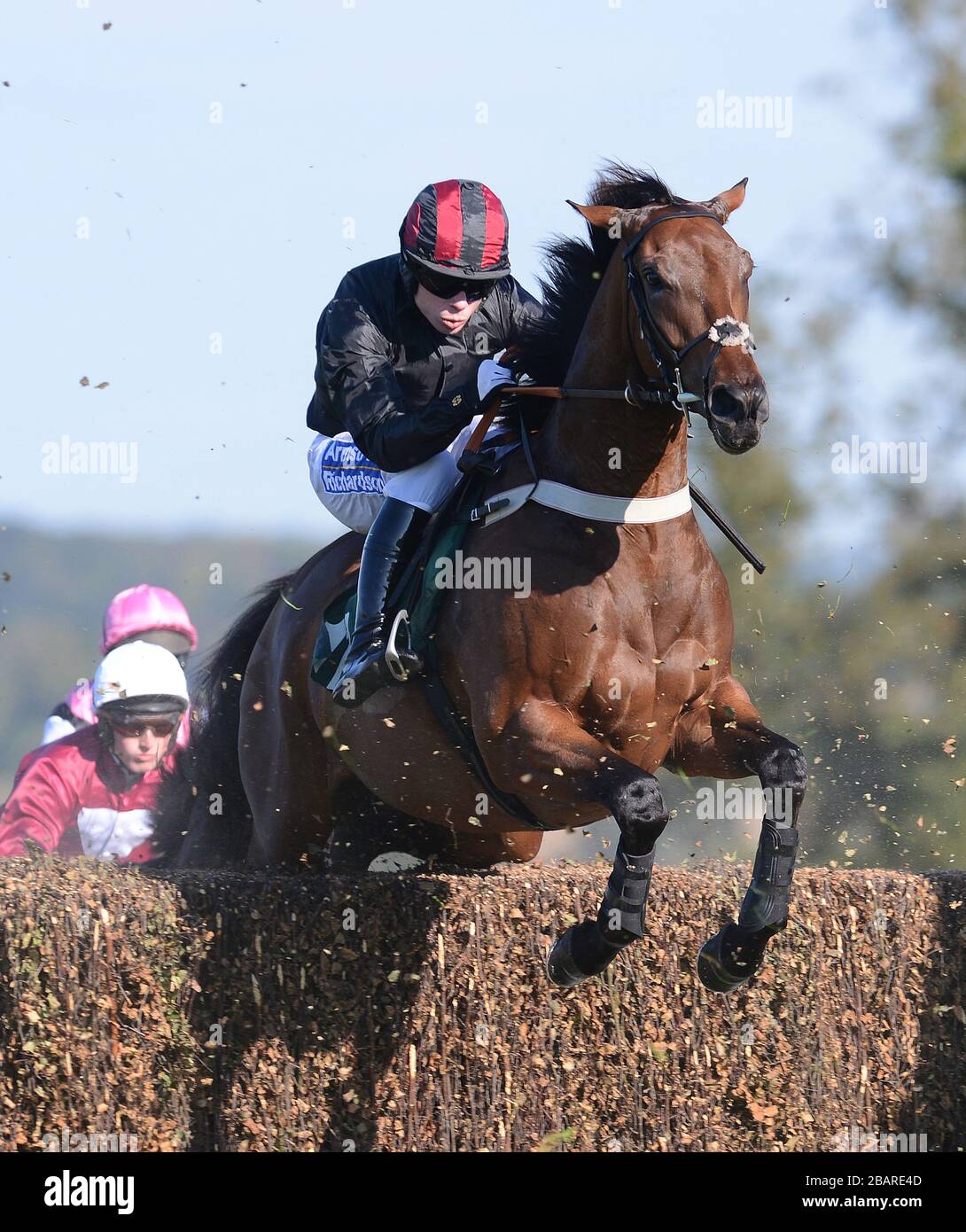 Creekside ridden by Denis O'Regan  winners of the Linden Homes Greens Norton Beginners' Chase Stock Photo