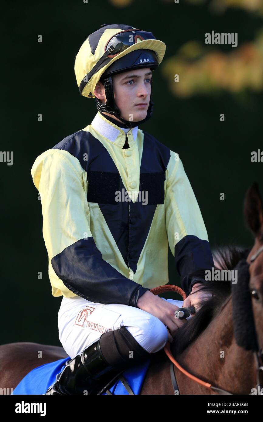 Harry bentley hires stock photography and images Alamy